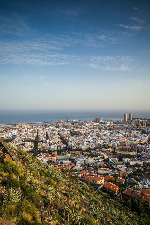 Picture of CANARY ISLANDS-TENERIFE ISLAND-SANTA CRUZ DE TENERIFE-ELEVATED VIEW OF CITY AND PORT-LATE AFTERNOON