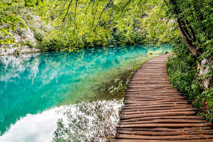 Picture of CROATIA PLITVICE LAKES NATIONAL PARK WALKWAY ALONG THE WATER IN PLITVICE LAKES NATIONAL PARK