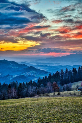 Picture of SLOVENIA-POLJANE SORA VALLEY-HILLSIDE NEAR GORENJA VAS IN EARLY MORNING LIGHT