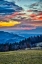 Picture of SLOVENIA-POLJANE SORA VALLEY-HILLSIDE NEAR GORENJA VAS IN EARLY MORNING LIGHT