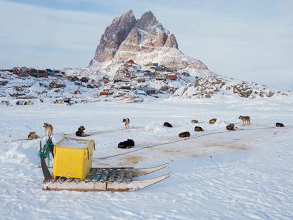 Picture of TEAM OF SLED DOG DURING WINTER IN UUMMANNAQ IN GREENLAND
