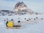 Picture of TEAM OF SLED DOG DURING WINTER IN UUMMANNAQ IN GREENLAND