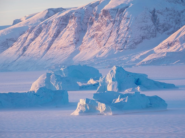 Picture of ICEBERGS FROZEN INTO THE SEA ICE OF THE UUMMANNAQ FJORD SYSTEM DURING WINTER 