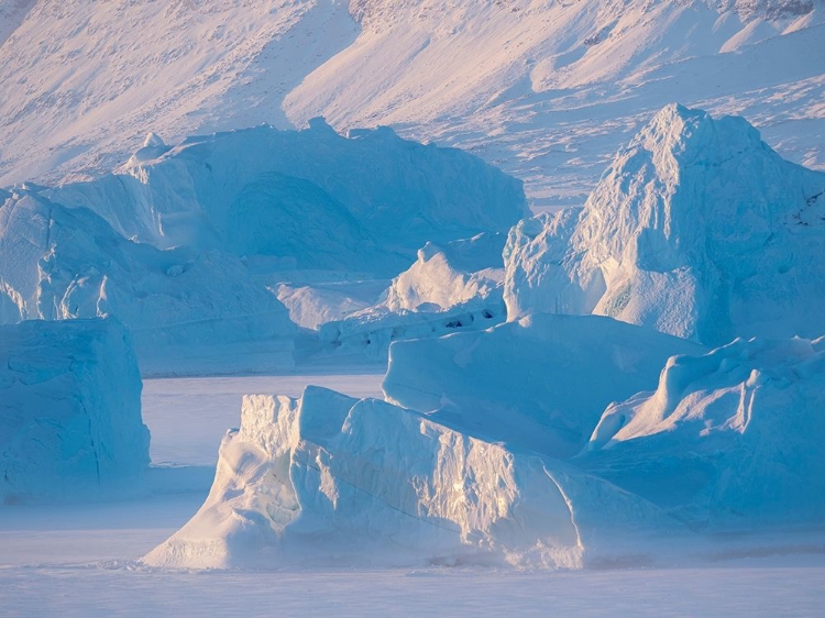 Picture of ICEBERGS FROZEN INTO THE SEA ICE OF THE UUMMANNAQ FJORD SYSTEM DURING WINTER 