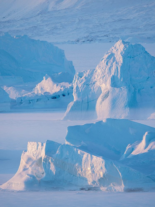 Picture of ICEBERGS FROZEN INTO THE SEA ICE OF THE UUMMANNAQ FJORD SYSTEM DURING WINTER 