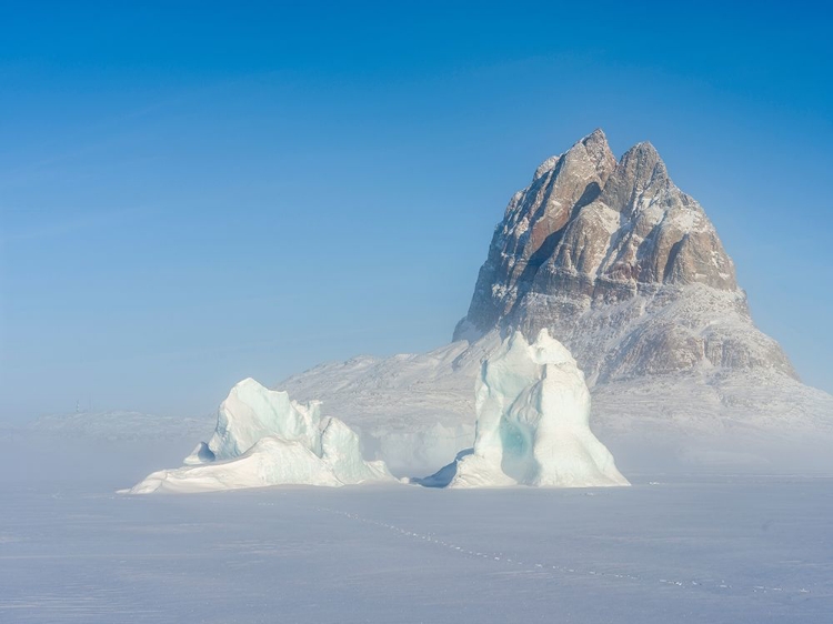 Picture of ICEBERGS FROZEN INTO THE SEA ICE OF THE UUMMANNAQ FJORD SYSTEM DURING WINTER 