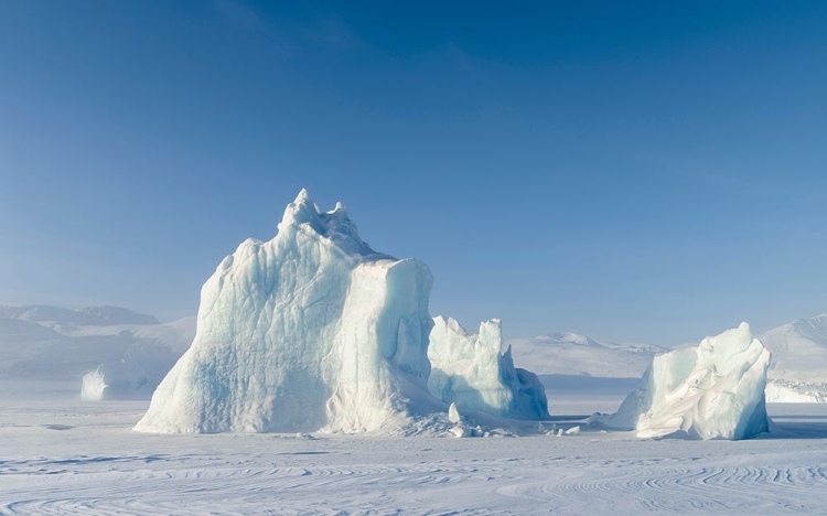 Picture of ICEBERGS FROZEN INTO THE SEA ICE OF THE UUMMANNAQ FJORD SYSTEM DURING WINTER 