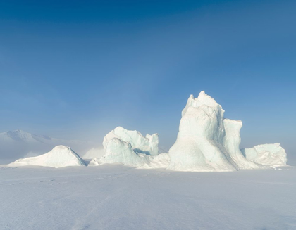 Picture of ICEBERGS FROZEN INTO THE SEA ICE OF THE UUMMANNAQ FJORD SYSTEM DURING WINTER 