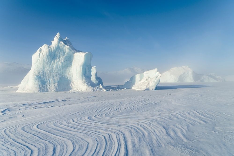 Picture of ICEBERGS FROZEN INTO THE SEA ICE OF THE UUMMANNAQ FJORD SYSTEM DURING WINTER 