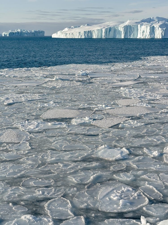 Picture of WINTER AT THE ILULISSAT FJORD-LOCATED IN THE DISKO BAY IN WEST GREENLAND