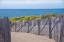 Picture of PATH TO THE BEACH