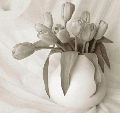 Picture of SEPIA TONE TULIPS