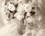 Picture of SEPIA TONE PEONY
