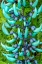 Picture of JADE VINE