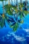 Picture of REFLECTION OF PALM TREES ON WATER