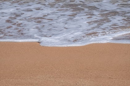 Picture of SEA FOAM ON GOLDEN SANDY BEACH