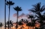 Picture of TROPICAL SUNSET