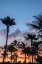 Picture of TROPICAL SUNSET