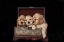 Picture of COCKER SPANIEL PUPPIES IN BOX