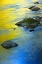 Picture of COLORS REFLECTED IN WATER