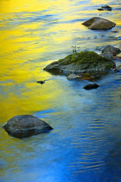 Picture of COLORS REFLECTED IN WATER