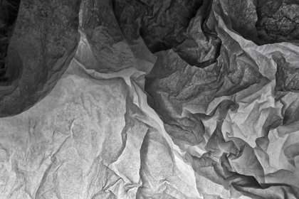 Picture of TISSUE PAPER ON LIGHT ABSTRACTS