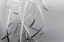 Picture of RIBBON AND LIGHT PATTERNS