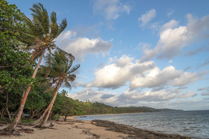 Picture of FIJI-VITI LEVU BEACH WITH PALM TREES AND WHITE CLOUDS