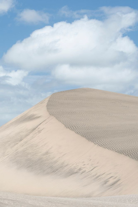 Picture of FIJI-VITI LEVU SAND DUNES