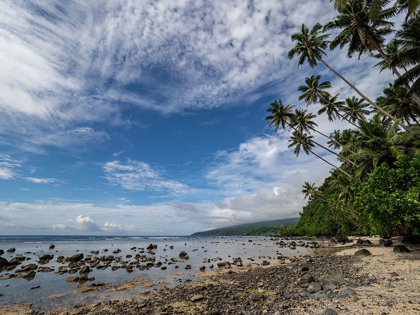 Picture of FIJI-TAVEUNI ISLAND BEACH WITH PALM TREES AND WHITE CLOUDS