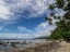 Picture of FIJI-TAVEUNI ISLAND BEACH WITH PALM TREES AND WHITE CLOUDS