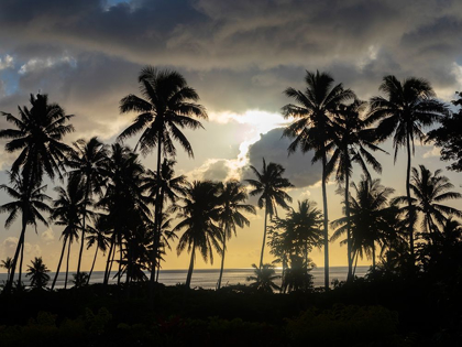 Picture of FIJI-TAVEUNI ISLAND BEACH SUNSET WITH PALM TREES