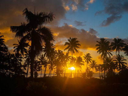 Picture of FIJI-TAVEUNI ISLAND BEACH SUNSET WITH PALM TREES