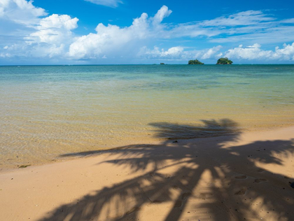 Picture of FIJI-TAVEUNI ISLAND SILHOUETTE OF A PALM TREE ON SANDY BEACH WITH BLUE SKY