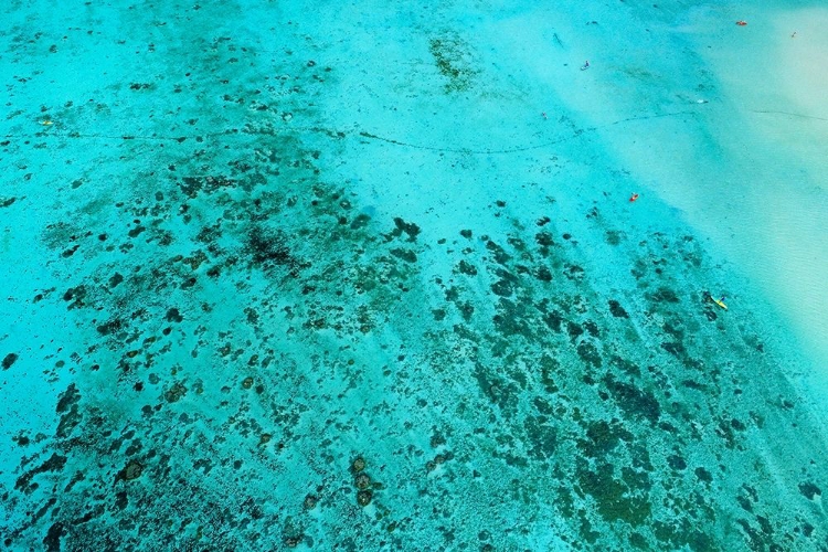 Picture of REEF-KAYAKERS AND PADDLE BOARDERS-MURI LAGOON-RAROTONGA-COOK ISLANDS-SOUTH PACIFIC