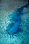 Picture of CHANNEL IN THE REEF-VAIMAANGA TAPERE-RAROTONGA-COOK ISLANDS-SOUTH PACIFIC