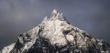 Picture of SOUTH AMERICA-ARGENTINA-TIERRA DEL FUEGO SNOWY PEAK OF MT OLIVIA 