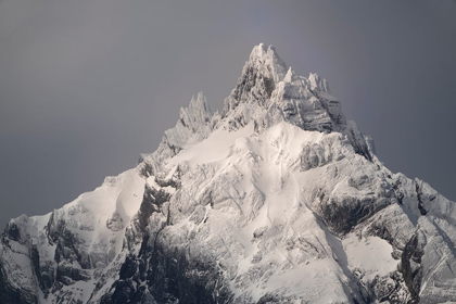 Picture of SOUTH AMERICA-ARGENTINA-TIERRA DEL FUEGO SNOWY PEAK OF MT OLIVIA 