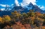 Picture of ARGENTINA-PATAGONIA-EL CHALTEN FITZ ROY