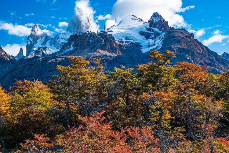 Picture of ARGENTINA-PATAGONIA-EL CHALTEN FITZ ROY