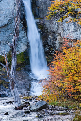 Picture of ARGENTINA-PATAGONIA-WATERFALL-CHORRILLO DEL SALTO