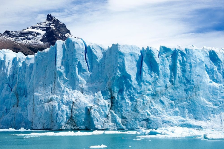 Picture of ARGENTINA-SANTA CRUZ LOS GLACIARES NATIONAL PARK