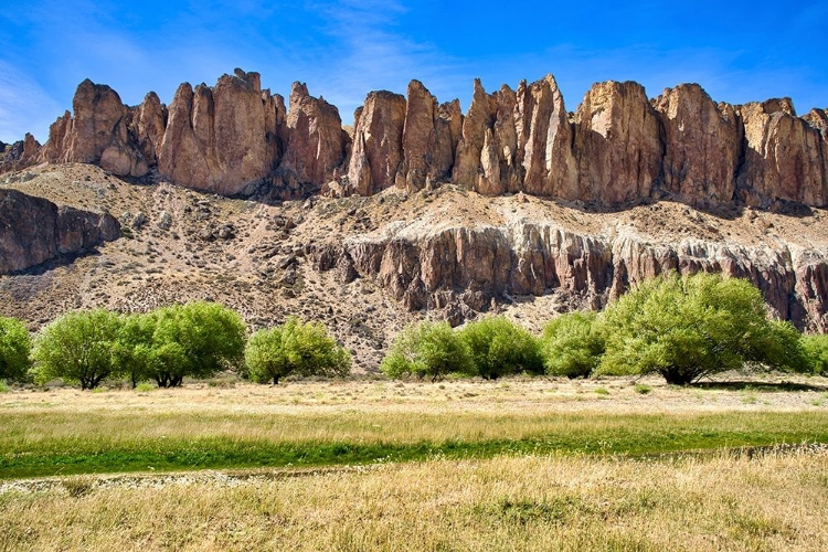 Picture of ARGENTINA-SANTA CRUZ-VALLE DEL RIO PINTURAS