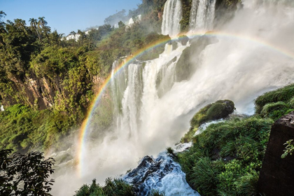 Picture of ARGENTINA-IGUAZU FALLS,-IGUAZU FALLS NATIONAL PARK-