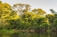 Picture of BRAZIL-PANTANAL CUIABA RIVER LANDSCAPE 