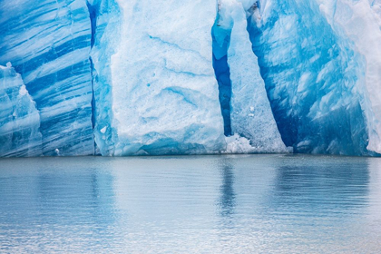 Picture of LOCATED WITHIN THE PARC NACIONAL TORRES DEL PAINE IS THE GREY GLACIER