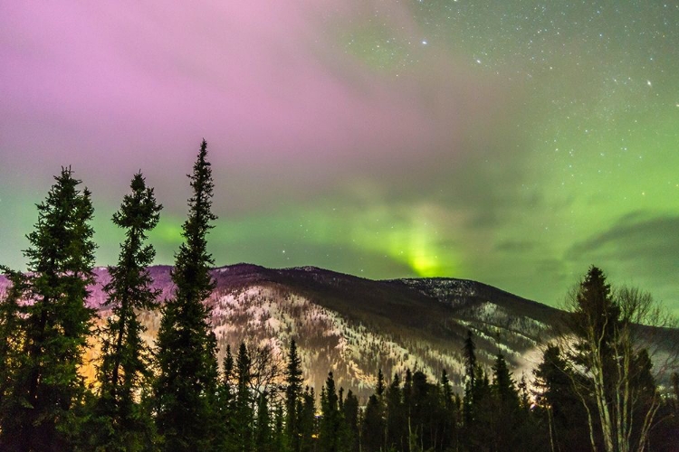 Picture of ALASKA-FAIRBANKS AURORA BOREALIS OVER MOUNTAIN LANDSCAPE