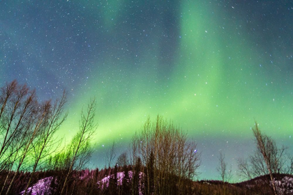 Picture of ALASKA-FAIRBANKS AURORA BOREALIS OVER MOUNTAIN LANDSCAPE