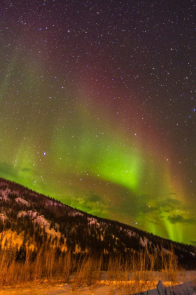 Picture of ALASKA-FAIRBANKS AURORA BOREALIS OVER MOUNTAIN LANDSCAPE