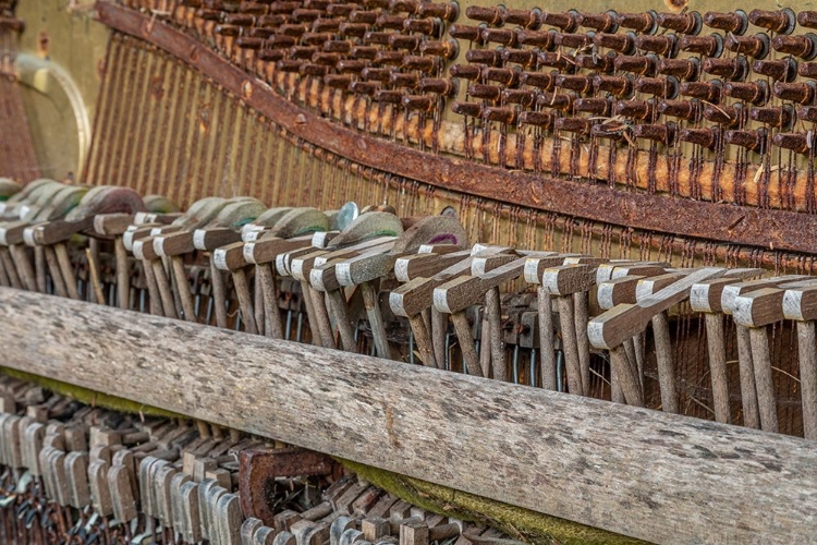 Picture of ALASKA-SITKA DISCARDED LINDEMAN AND SONS PIANO CLOSE-UP 